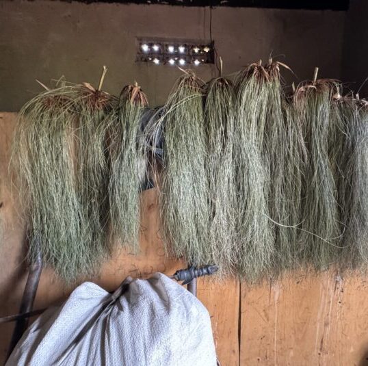 Create & Sustain Healthy Families